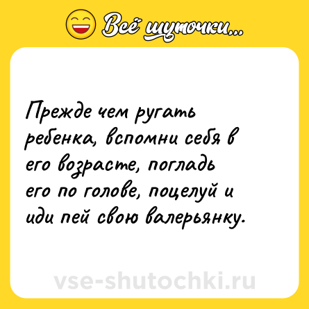 Шутка: Прежде чем ругать ребенка, вспомни себя в его возрасте, погладь его по голове, поцелуй и иди пей свою валерьянку.