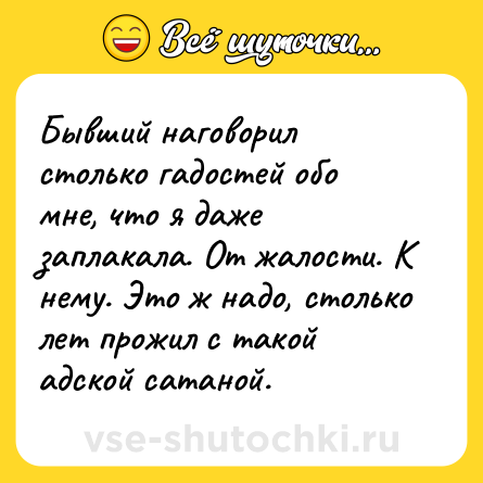 Шутка: Бывший наговорил столько гадостей обо мне, что я даже заплакала. От жалости. К нему. Это ж надо, столько лет прожил с такой адской сатаной.