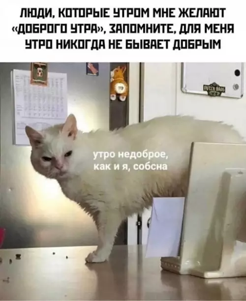 Смешная картинка №650018
