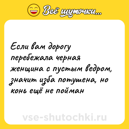 Шутка: Если вам дорогу перебежала черная женщина с пустым ведром, значит изба потушена, но конь ещё не пойман