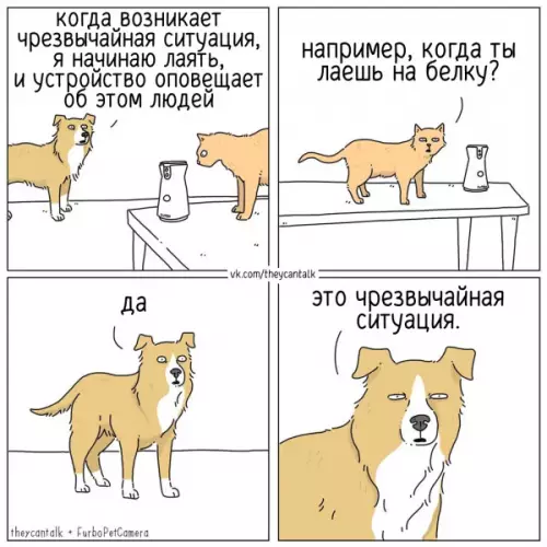 Смешная картинка №752427