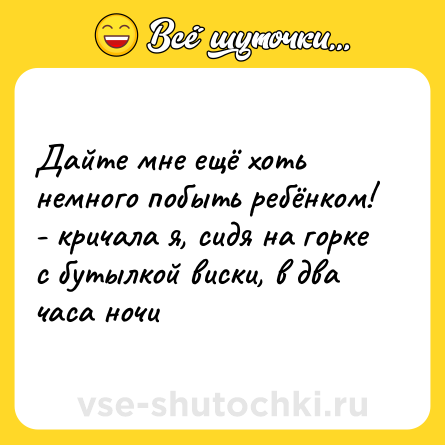Шутка: Дайте мне ещё хоть немного побыть ребёнком! - кричала я, сидя на горке с бутылкой виски, в два часа ночи