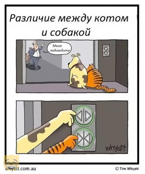 Смешная картинка №350661 #приколы #картинки #мемы ?