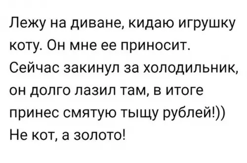Смешная картинка №194904