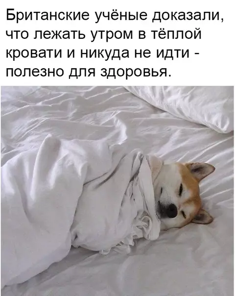 Смешная картинка №336273