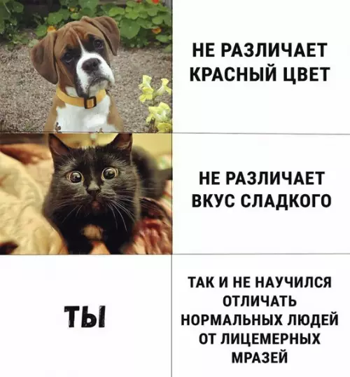 Смешная картинка №259279