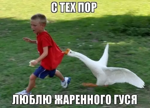 Смешная картинка №295268