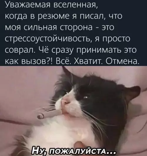 Смешная картинка №555125 Hecтpeccoycтoйчивocть