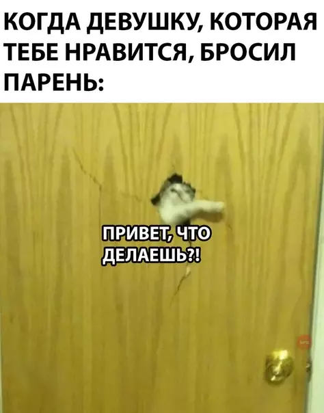 Смешная картинка №290435