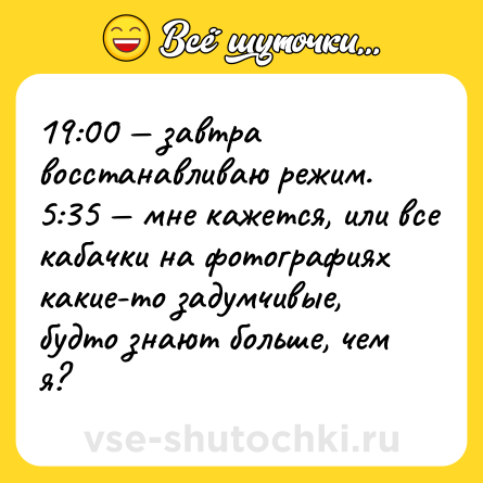 Шутка: 19:00 — завтра восстанавливаю режим. <br>5:35 — мне кажется, или все кабачки на фотографиях какие-то задумчивые, будто знают больше, чем я?