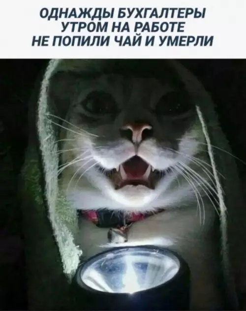 Смешная картинка №655827