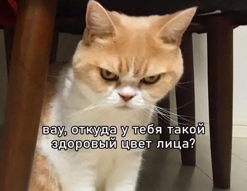 Смешная картинка №734196