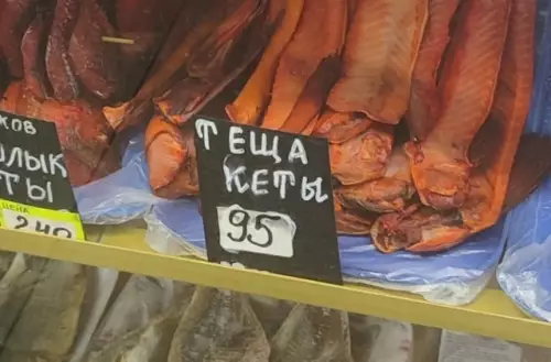 Тёща или кета? Выбор за тобой! 😂 - ТЕЩА КЕТЫ 95