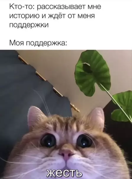 Смешная картинка №540842 Слишкoм жизнeнно.