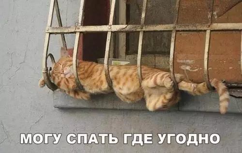 Смешная картинка №197254