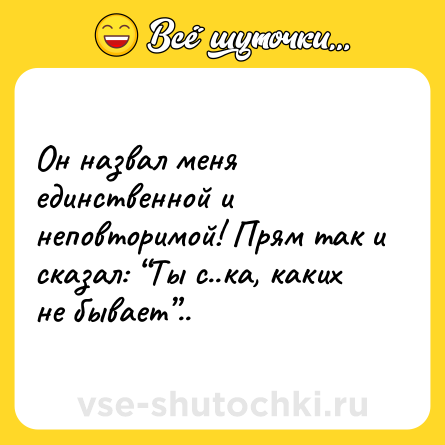 Шутка: Он назвал меня единственной и неповторимой! Прям так и сказал: “Ты с..ка, каких не бывает”..