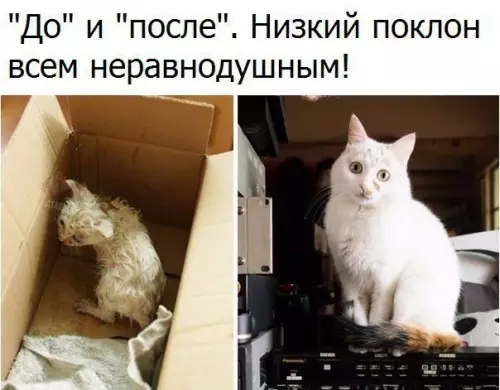 Смешная картинка №202427