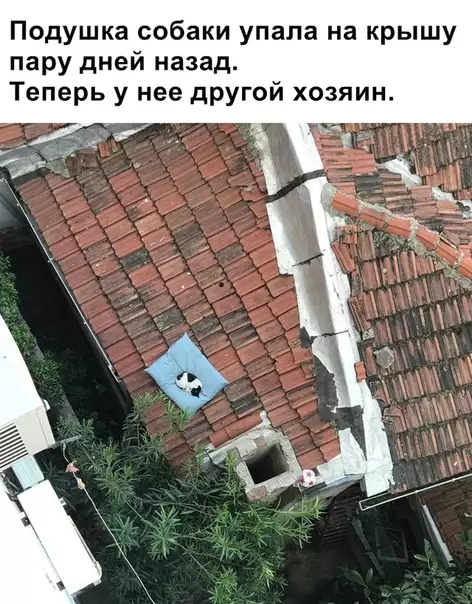 Смешная картинка №356851