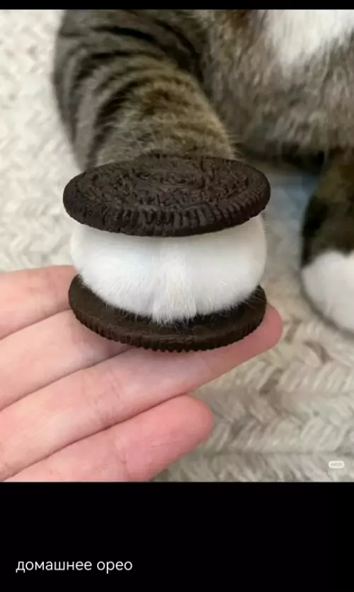 Смешная картинка №797881