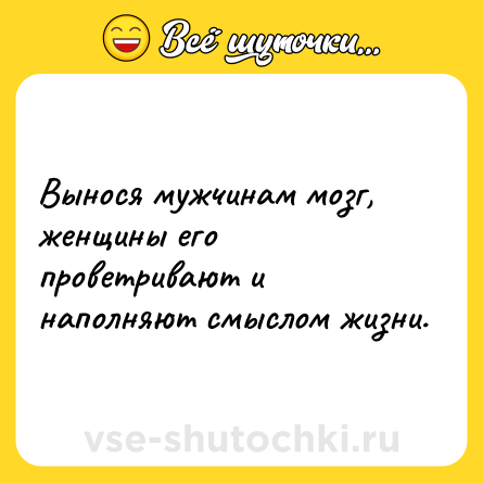 Шутка: Вынося мужчинам мозг, женщины его проветривают и наполняют смыслом жизни.