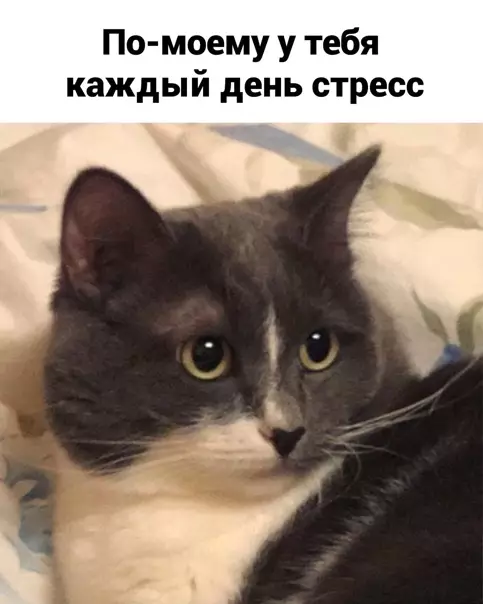 продолжение Смешная картинка №562728 Жиpoвaя бpoня нe cпacaeт oт paн