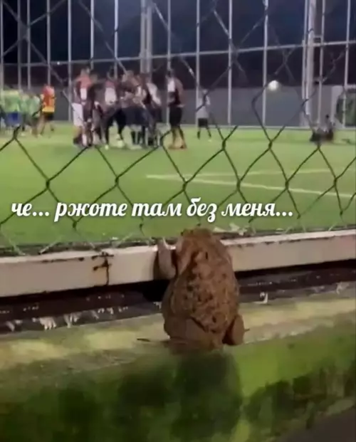 Смешная картинка №798905