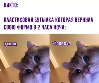 Смешная картинка №626162 Пык