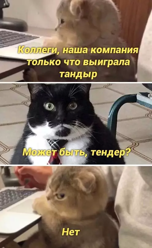 Смешная картинка №663024