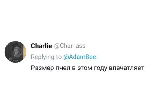 продолжение Смешная картинка №606835 кошки