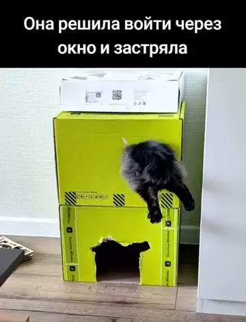 продолжение Смешная картинка №763706 Ей понравилось
