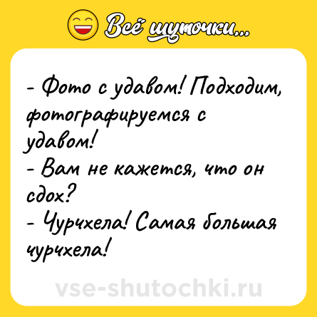 Шутка: - Фото с удавом! Подходим, фотографируемся с удавом! <br>- Вам не кажется, что он сдох? <br>- Чурчхела! Самая большая чурчхела!