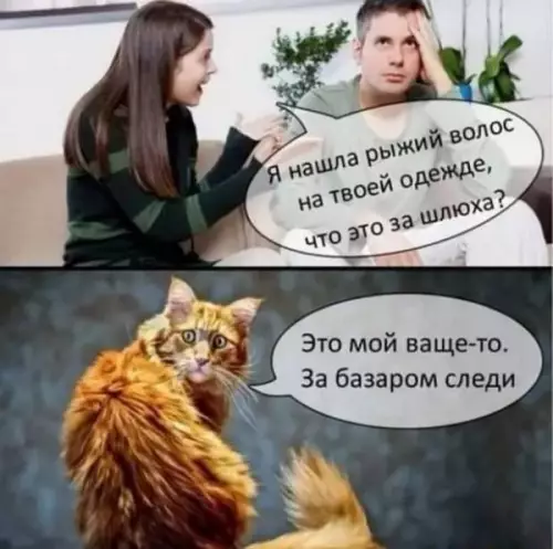 Смешная картинка №605381