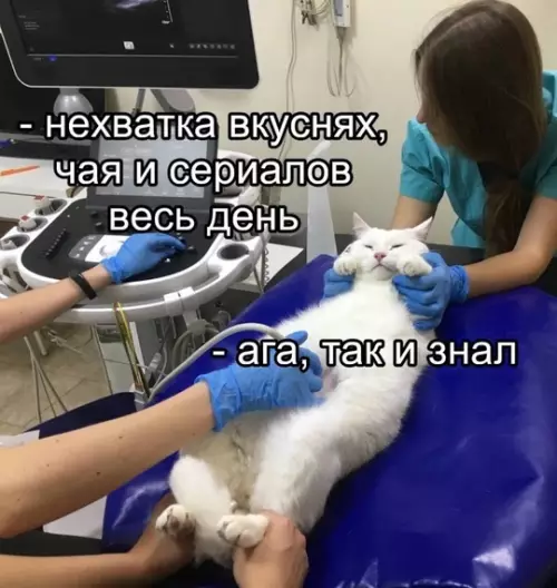 Смешная картинка №776704
