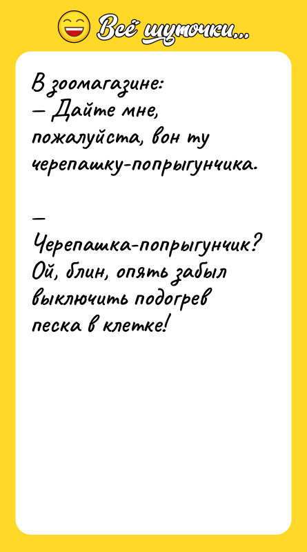 В зоомагазине:  — Дайте мне, пожалуйста, вон ту черепашку-попрыгунчика.