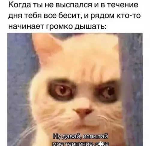 Смешная картинка №739377