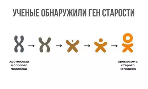 Смешная картинка №242223