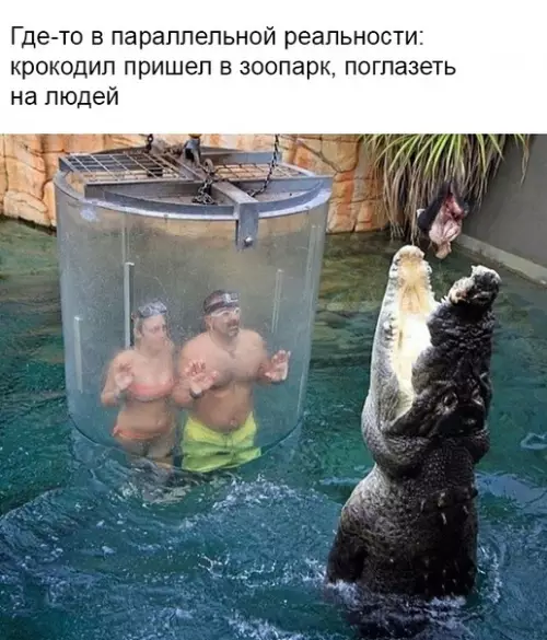 Смешная картинка №345950