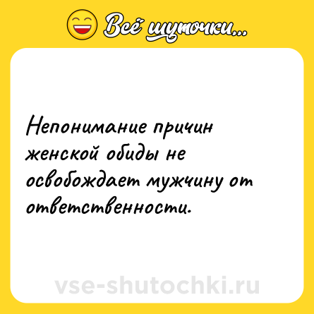 Шутка: Непонимание причин женской обиды не освобождает мужчину от ответственности.