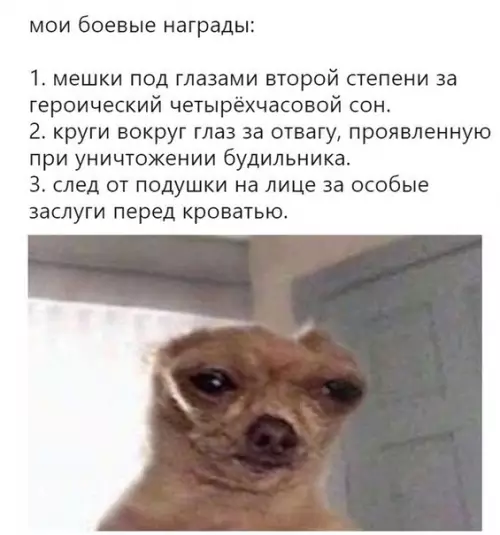 Смешная картинка №374300