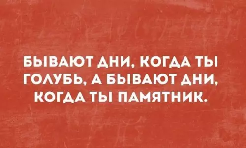 Смешная картинка №370577