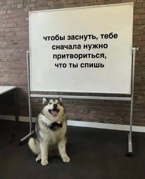 Смешная картинка №822436 Мудрость