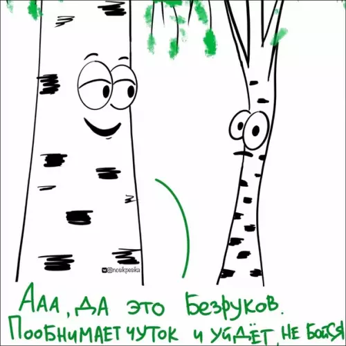 продолжение Смешная картинка №566681 Бepёзы вecнoй