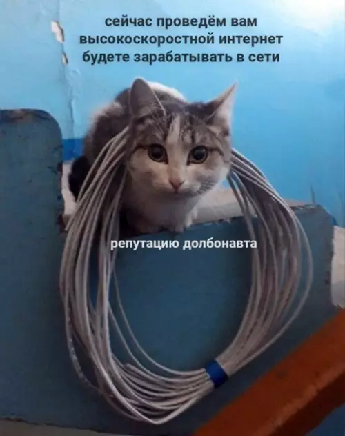 Смешная картинка №638438 со скоростью 100 мегабит в секунду