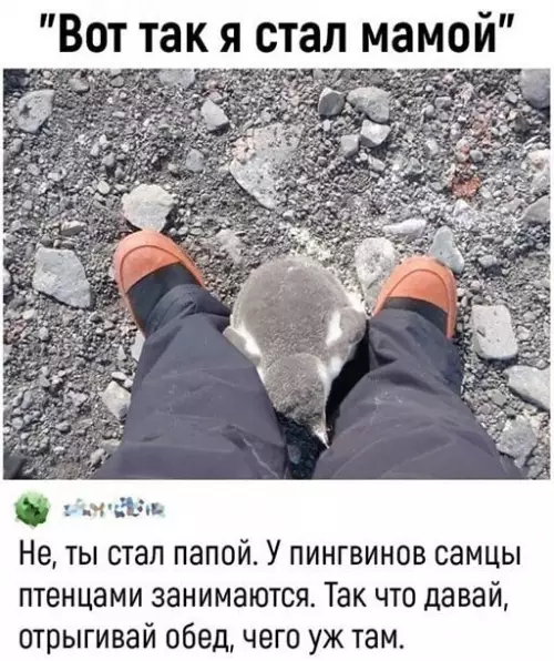 Смешная картинка №653893