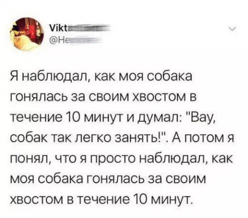 Смешная картинка №343023 Такие дeлa.