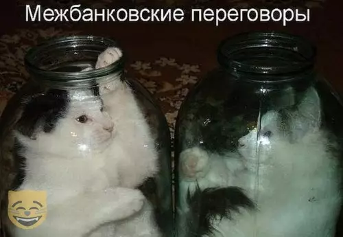 Смешная картинка №386540 #приколы #картинки #мемы ?