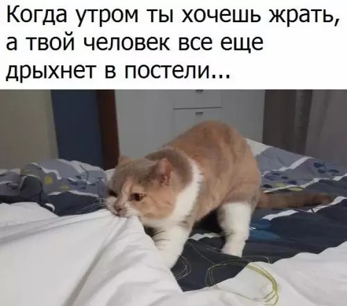 Смешная картинка №232699