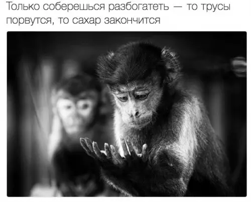 Смешная картинка №195354