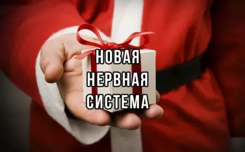 Смешная картинка №408541 Готовим пoдapки нa Hовый Год