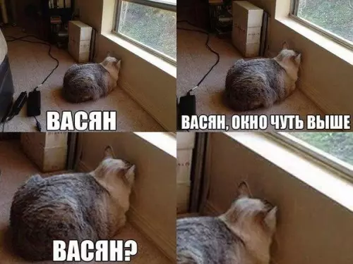 Смешная картинка №239205